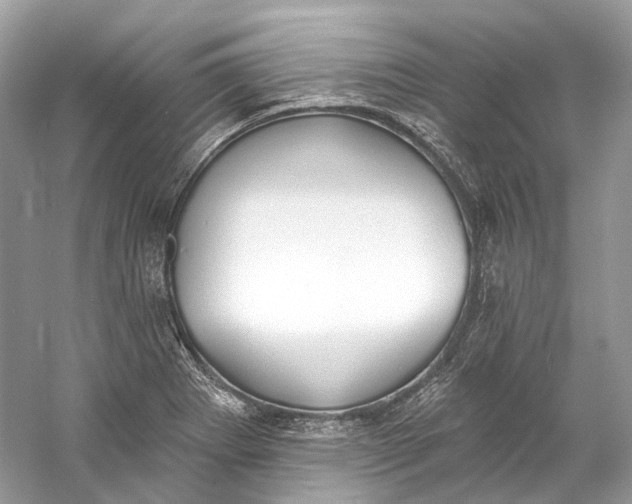 X0000060761273200512011504