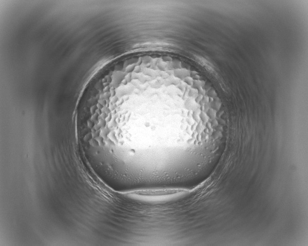 X0000060761275200512011504