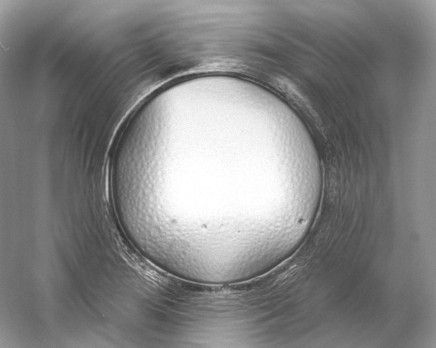 X0000060761276200512011504