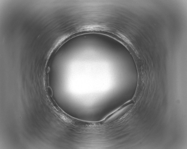 X0000060761277200512011504