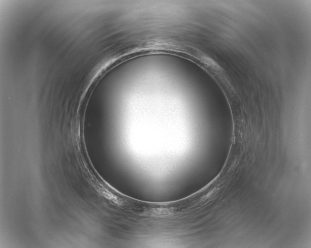 X0000060761280200512011504