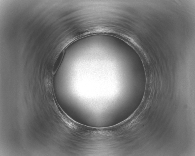 X0000060761281200512011504