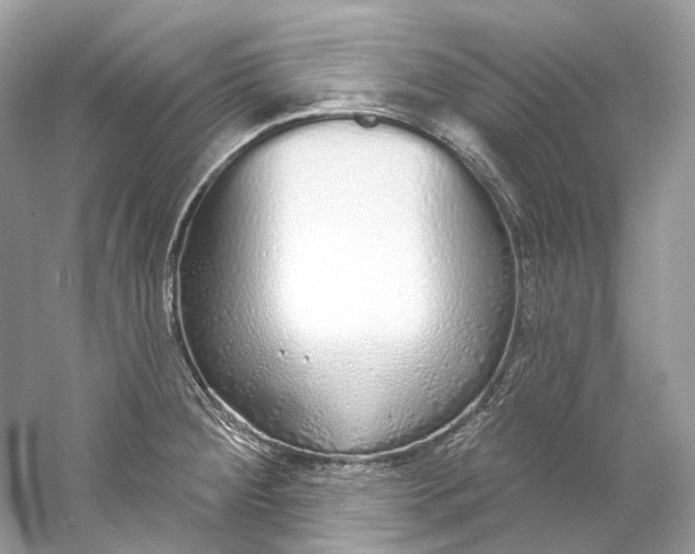 X0000060761284200512011504