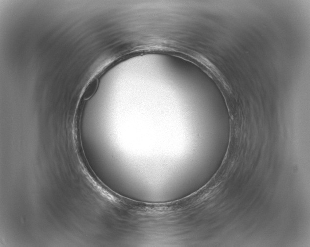 X0000060761285200512011504