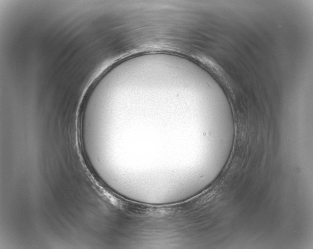 X0000060761286200512011504