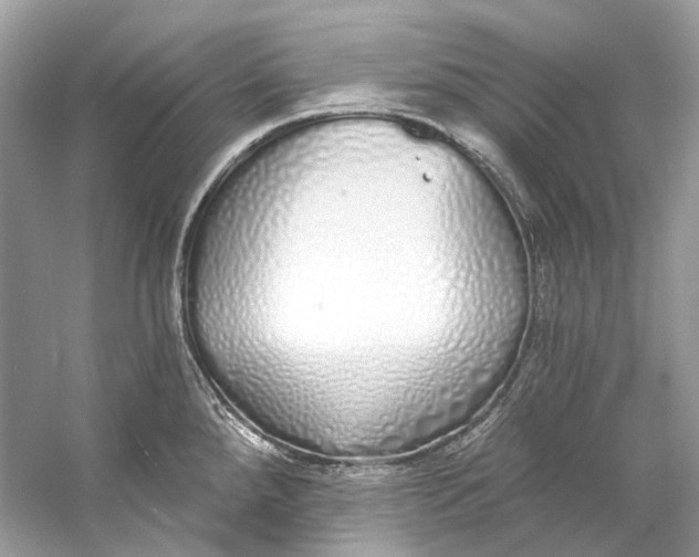 X0000060761288200512011504