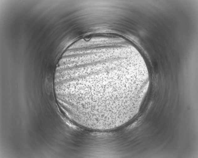 X0000060761289200512011504