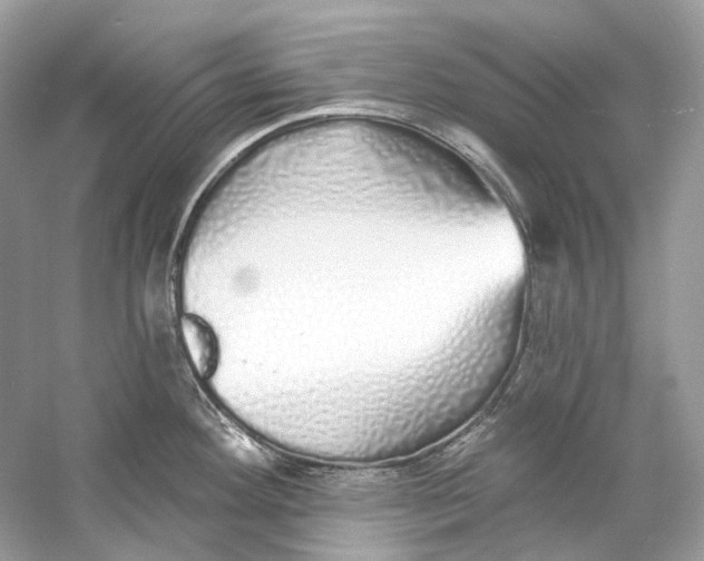 X0000060761292200512011503