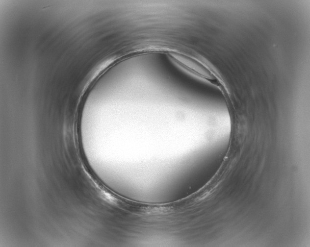 X0000060761293200512011503