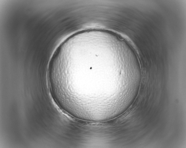 X0000060761295200512011503