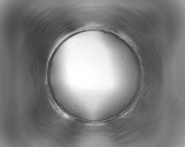 X0000060761296200512011503