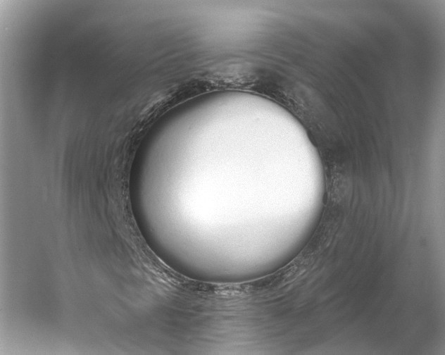 X0000060761297200512011503