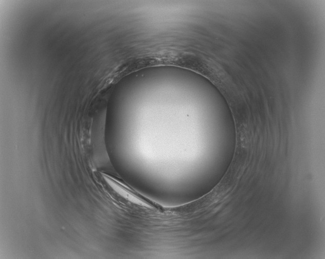 X0000060761298200512011503