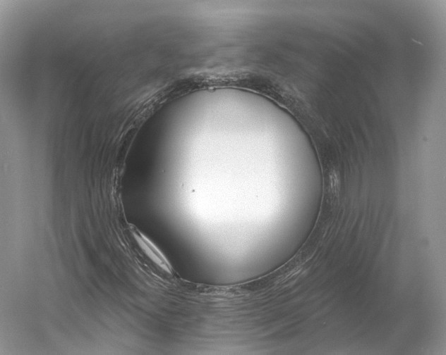X0000060761300200512011503