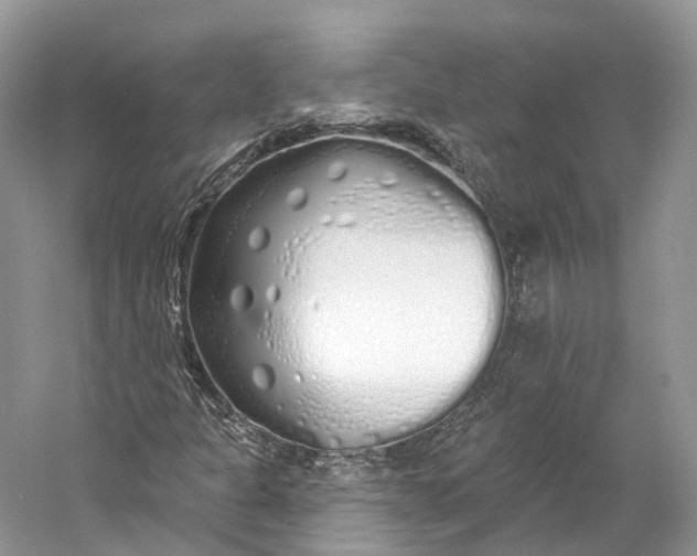 X0000060761301200512011503