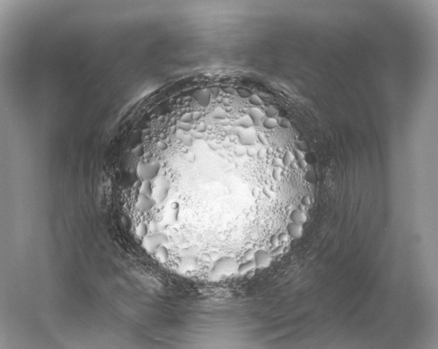 X0000060761302200512011503
