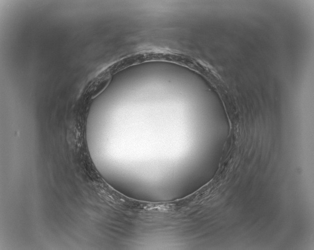 X0000060761303200512011503