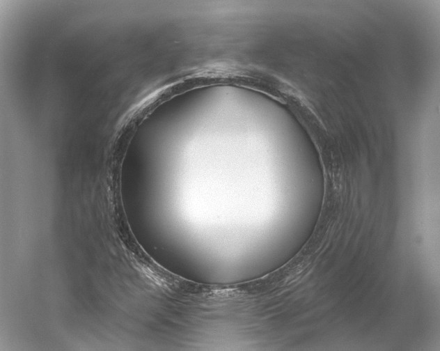 X0000060761304200512011503