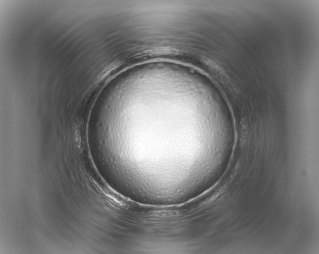 X0000060761305200512011503