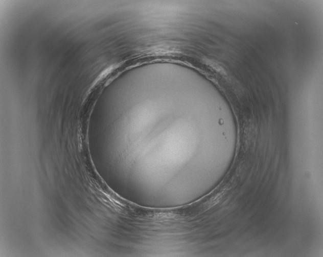 X0000060761306200512011503