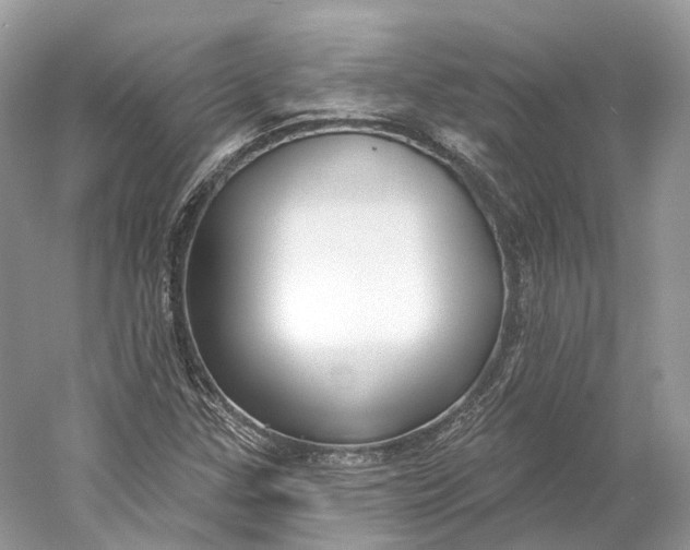 X0000060761307200512011503