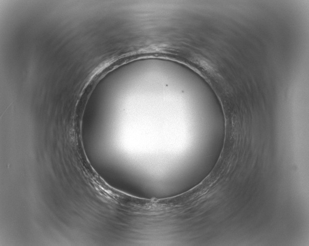 X0000060761308200512011503