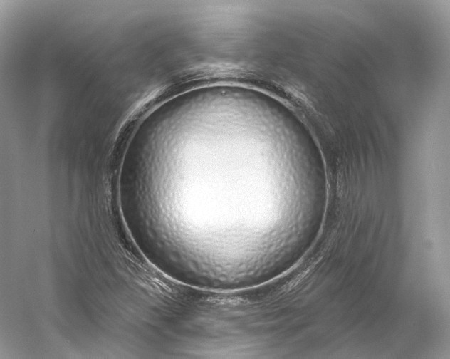 X0000060761309200512011503