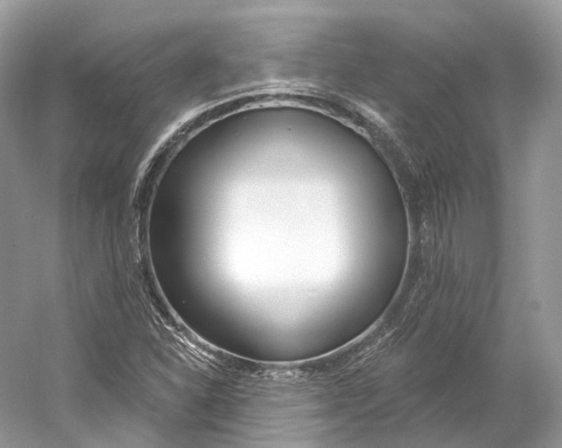 X0000060761310200512011503