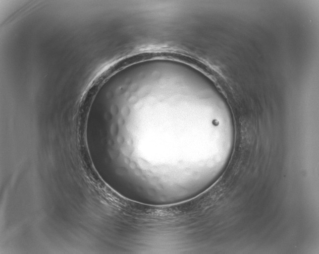 X0000060761311200512011503