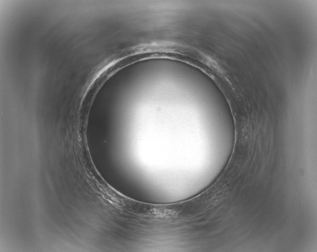 X0000060761312200512011503