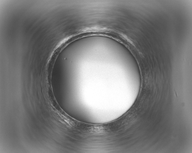 X0000060761315200512011503