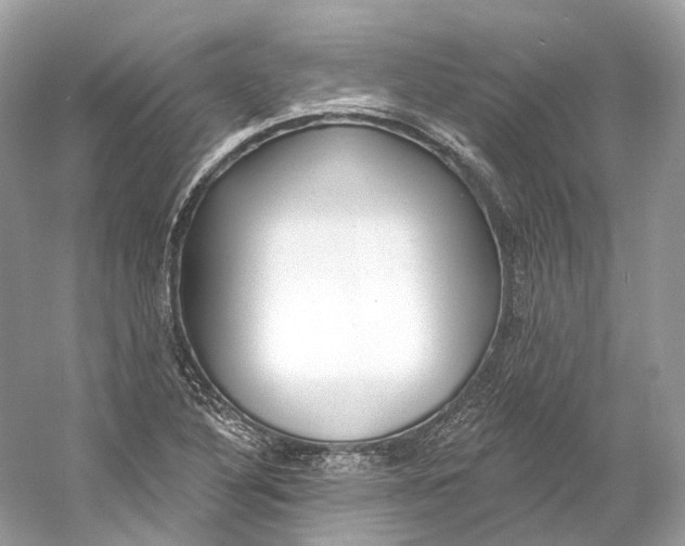 X0000060761316200512011503