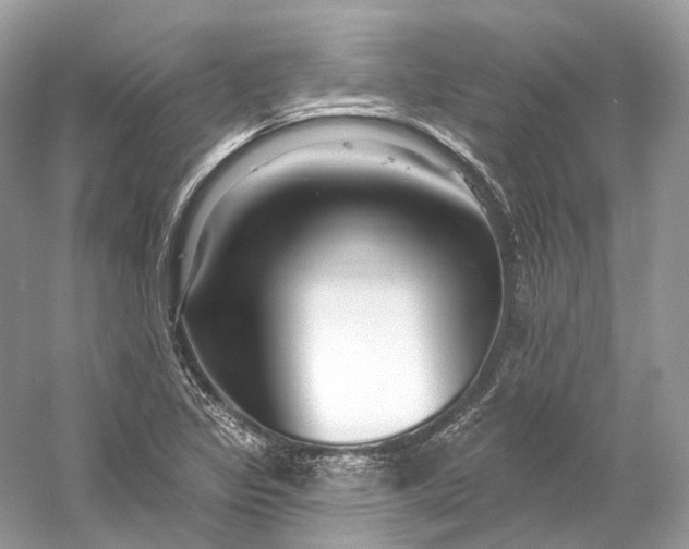 X0000060761317200512011503