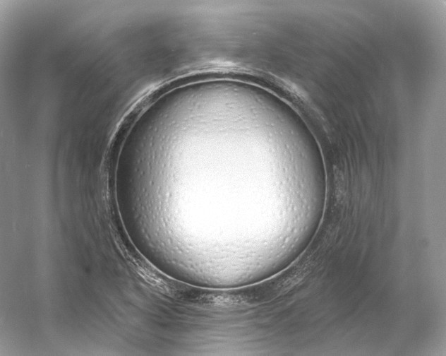 X0000060761318200512011503
