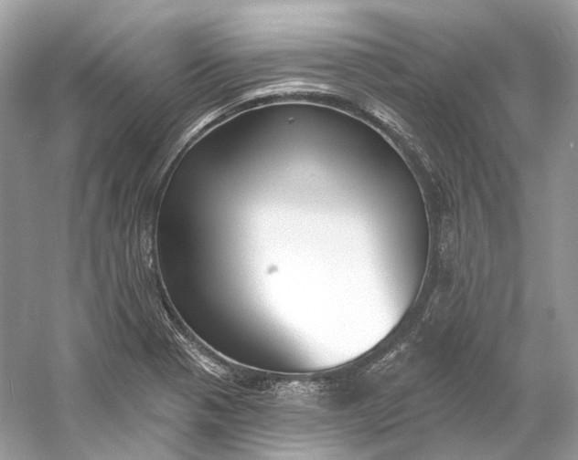 X0000060761321200512011503