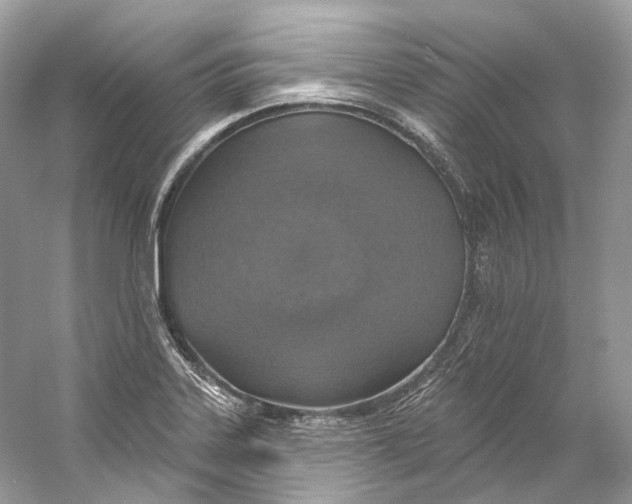 X0000060761323200512011503