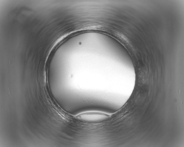 X0000060761324200512011503