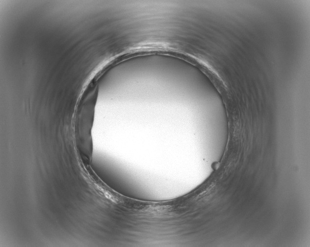 X0000060761325200512011503