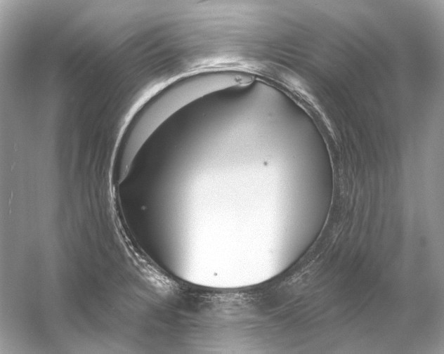 X0000060761328200512011503
