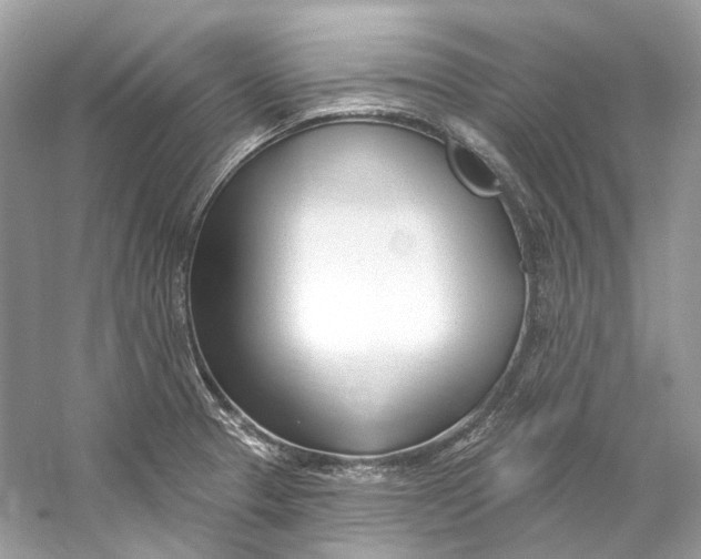 X0000060761329200512011503
