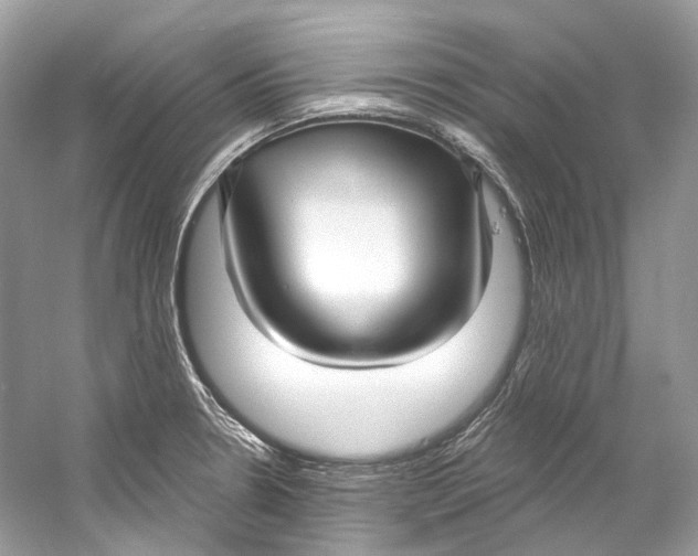 X0000060761330200512011503