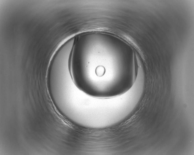 X0000060761332200512011503