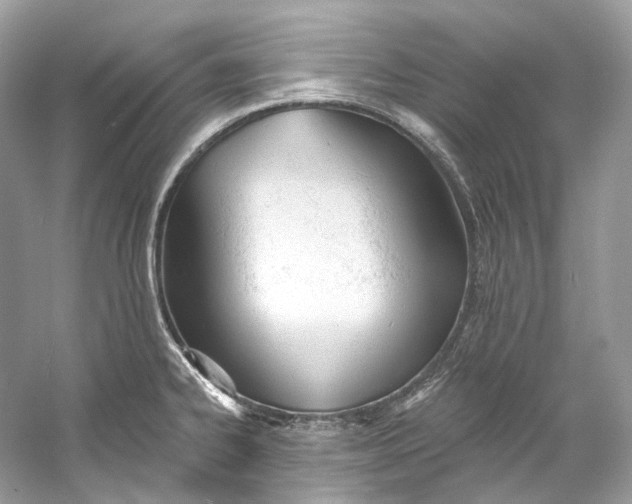 X0000060761334200512011503