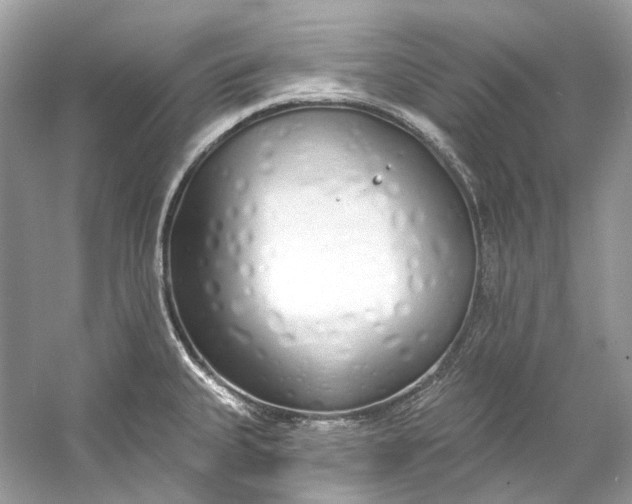 X0000060761335200512011503