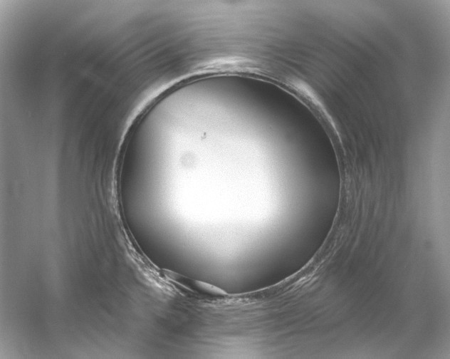 X0000060761336200512011503