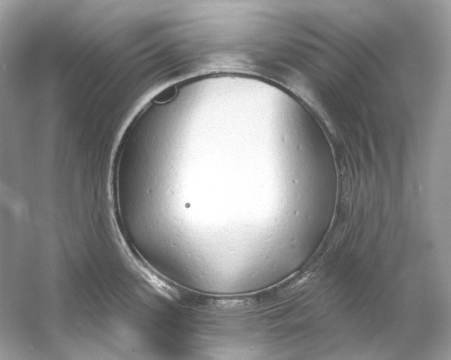X0000060761339200512011503