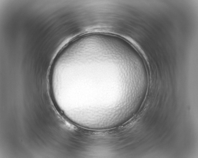 X0000060761341200512011503