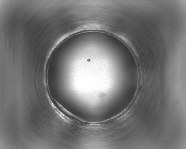 X0000060761342200512011503