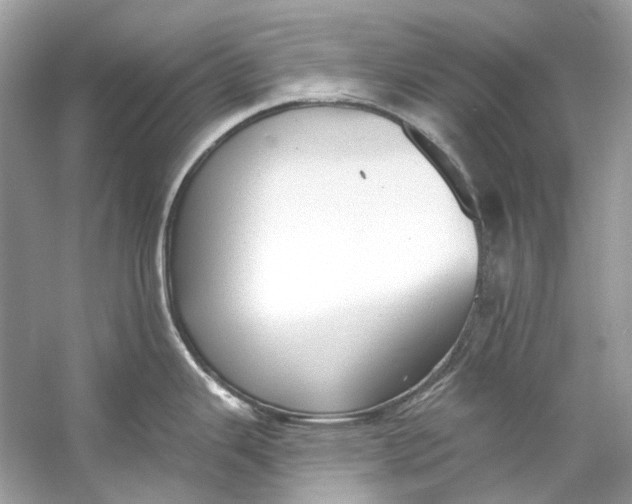 X0000060761343200512011503