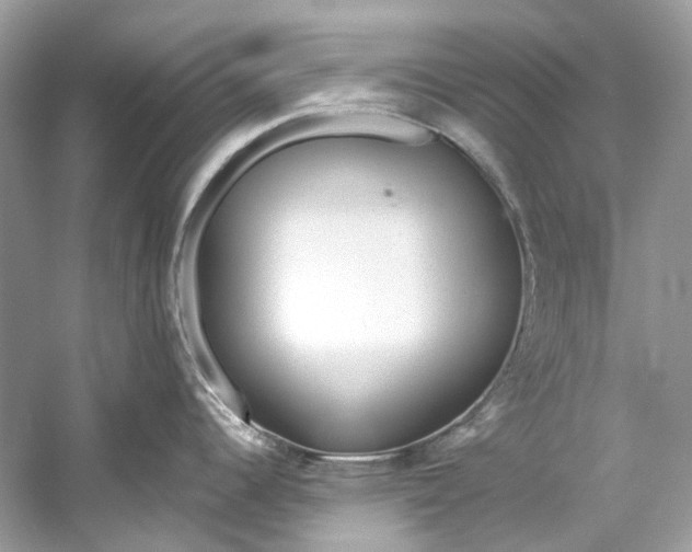 X0000060761344200512011503